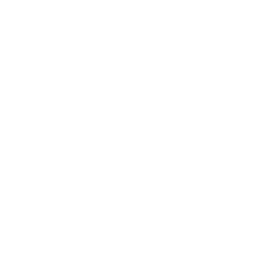 Lyrical Ent